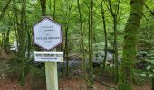 Trail Walking Bouillon - Bellevaux 190923 - Photo 18