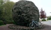 Tour Zu Fuß Strohn - HeimatSpur Lavaweg Strohn - Photo 3