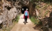 Trail Walking Saint-Bonnet-du-Gard - Pont du Gard  par St Bonnet - Photo 13