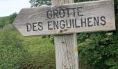 Trail Walking Saint-Chély-d'Aubrac - AVEYRON . AUBRAC . TOUR DES MONTS D AUBRAC N - Photo 11