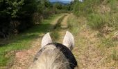 Trail Horseback riding Ban-sur-Meurthe-Clefcy - Reconnaissance chez Delphine fraize  - Photo 8