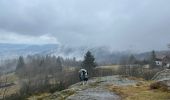 Tocht Stappen Vagney - Cascade de la Pissoire - Haut du Tôt  - Photo 7