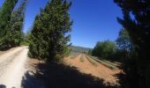 Tour Mountainbike Roussillon - activity_9127223319 - Photo 11
