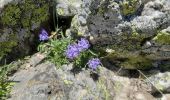 Trail Walking Val-d'Oronaye - LARCHE   lac de l Oronaye   col de Robutent p - Photo 15