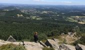 Tocht Stappen Araules - Suc de Lizieux - Photo 1