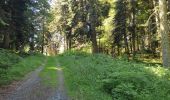 Trail Walking Lançon - Lanson - Photo 2