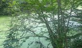 Trail Walking Bruyères-le-Châtel - R2 a Roche Turpin - Photo 2