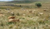 Randonnée Marche Peyre en Aubrac - CC_Velay_BA_05_Peyre-Aubrac_Nasbinals_20070819 - Photo 4