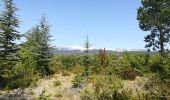 Trail Walking Bédoin - ventoux pavillon de  Roland MA - Photo 6