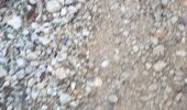 Trail Walking Allauch - pichaury  j.f - Photo 1