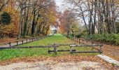 Trail On foot Fontainebleau - Sur les traces de Rosa Bonheur - Thomery - Photo 1