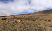 Tocht Stappen Bouvante - Tour du Plateau d’Ambel - Photo 2