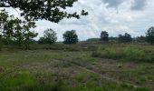 Randonnée Marche Maaseik - Gruitroderbos -  dunes - Photo 4