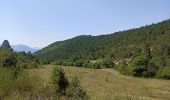 Excursión Senderismo Cornillon-sur-l'Oule - rando La Motte Chalancon  - Photo 8