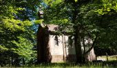 Tour Wandern Vexaincourt - Vexaincourt - lac et chapelle de la Maix - Photo 11