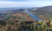 Tour Wandern Saint-Genix-les-Villages - Mont Tournier - Photo 1