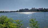 Tocht Lopen Avignon - Avignon, ile - Photo 2