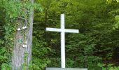 Randonnée Marche Houyet - Tour de Celles par le Bois du Mauvais Mont - Photo 2