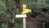 Trail Walking Proveysieux - Proveysieux_Boucle des Essarts - Photo 7