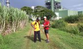 Percorso Marcia Le Robert - Pointe Savane - Plage du Raisiinier - Photo 13