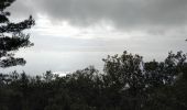 Tocht Stappen Èze - Eze - Photo 2