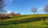 Trail Walking Namur - Balade à Malonne - Le Volcan - Photo 4