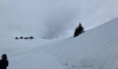 Percorso Racchette da neve Le Grand-Bornand - Le col des ânes  - Photo 4