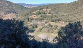 Trail Walking Les Arcs-sur-Argens - La colline de Cabredor les Arcs sur Argens, 17-01-2025 - Photo 6