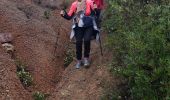 Trail Walking Fréjus - N.D de Jérusalem - Photo 4