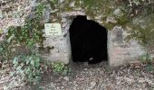 Tocht Stappen Laroque-des-Albères - Laroque  des Albères 1022 - Photo 1