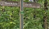 Tour Wandern Ville-d'Avray - Etang Corot - Photo 9