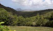 Trail Walking Sainte-Luce - L'Anse Pont Café-Bellevue Ladour en boucle  - Photo 12