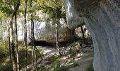 Excursión Senderismo Saint-Hippolyte - St Hippolyte - Grotte du Château de la Roche - Grotte du Bisontin - Photo 4