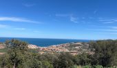 Trail Walking Banyuls-sur-Mer - Banyuls sur Mer, chapelle notre Dame de la Salette - Photo 1