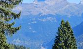 Tour Wandern Saint-Gervais-les-Bains - J17 - R16 - Le Plan de la Croix - Bettex - Photo 11