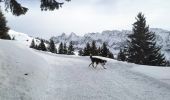 Randonnée Ski de randonnée Samoëns - 2025-01-30 Sortie Ski de Rando Col de la Golese - Photo 2