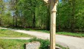 Percorso Bici ibrida Ferrières-en-Brie - Etangs de Tafarrette - Forêt de Ferrieres  - Photo 5