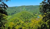 Tocht Stappen Bouillon - Le Sentier des Points de Vues - Bouillon - Photo 19