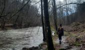 Trail Walking Libin - laisse la lesse  - Photo 2