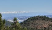 Trail Mountain bike Fréjus - 53 km Esterel - Photo 5