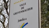 Randonnée A pied Grevenmacher - Fleche Bleu Grevenmacher II - Photo 4