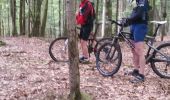 Trail Mountain bike Bertrambois - sortie vtt du 20052018 - Photo 16