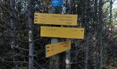 Randonnée Marche Espeluche - Espeluche : Le Bois Jamot 12km - Photo 4
