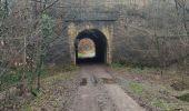 Excursión Senderismo Tintigny - lahage le cron et les aires de fauldes - Photo 2