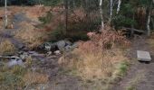 Tocht Stappen Jalhay - Hoegne-Polleur-Statte-Dolmen - Photo 9