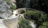 Trail On foot Moustiers-Sainte-Marie - Moustier- Vincel - Photo 10