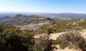 Trail Walking Allauch - la treille le gros hibou par tête rouge - Photo 11