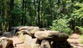 Randonnée Marche Le Tronchet - Forêt du Mesnil - Photo 4