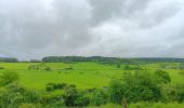 Trail Walking Hamoir - comblain la tour . xhygnesse . comblain fairon . comblain la tour - Photo 13