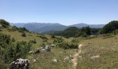 Trail Walking Pescasseroli - Pescasseroli Opi Colle Alti 18 km - Photo 2